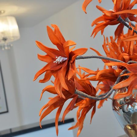 Uhu Gaestehaus Superior ケルン エクステリア 写真