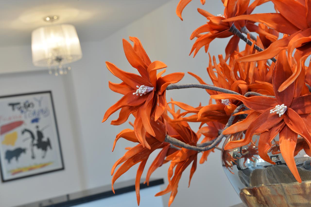 Uhu Gaestehaus Superior ケルン エクステリア 写真